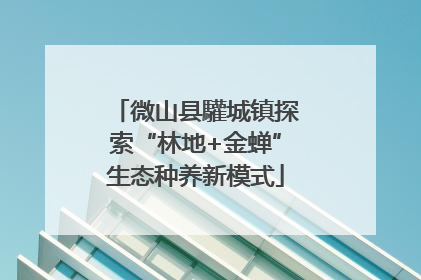 微山县驩城镇探索“林地+金蝉”生态种养新模式