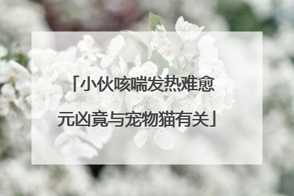 小伙咳喘发热难愈 元凶竟与宠物猫有关