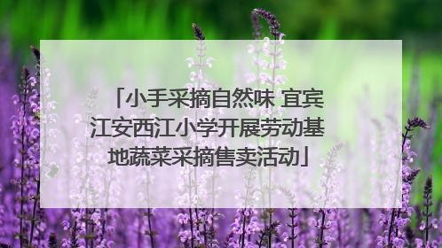 小手采摘自然味 宜宾江安西江小学开展劳动基地蔬菜采摘售卖活动