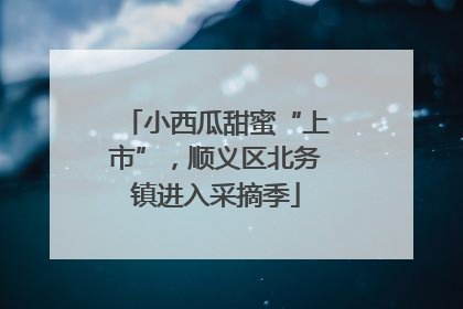小西瓜甜蜜“上市”，顺义区北务镇进入采摘季