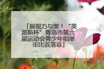 展现力与美！“英派斯杯”青岛市第六届运动会青少年组举重比赛落幕
