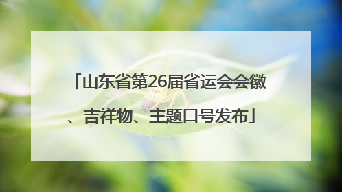 山东省第26届省运会会徽、吉祥物、主题口号发布