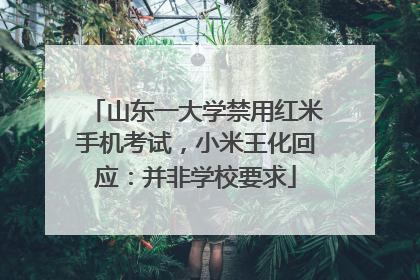 山东一大学禁用红米手机考试，小米王化回应：并非学校要求