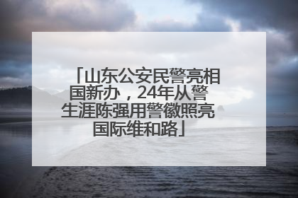 山东公安民警亮相国新办，24年从警生涯陈强用警徽照亮国际维和路