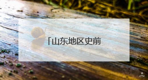 山东地区史前考古研究重大成果在济南发布