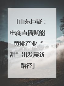 山东巨野：电商直播赋能 黄桃产业“甜”出发展新路径