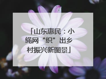 山东惠民：小绳网“织”出乡村振兴新图景