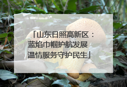 山东日照高新区：蓝焰巾帼护航发展 温情服务守护民生