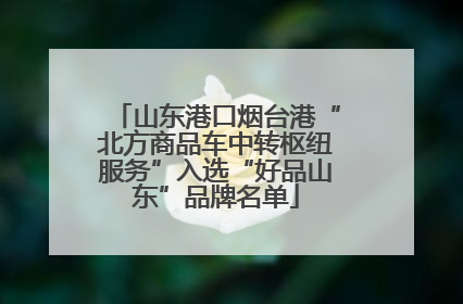 山东港口烟台港“北方商品车中转枢纽服务”入选“好品山东”品牌名单