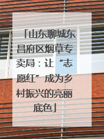 山东聊城东昌府区烟草专卖局：让“志愿红”成为乡村振兴的亮丽底色