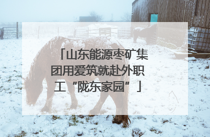 山东能源枣矿集团用爱筑就赴外职工“陇东家园”