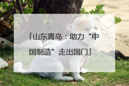 山东青岛：助力“中国制造”走出国门