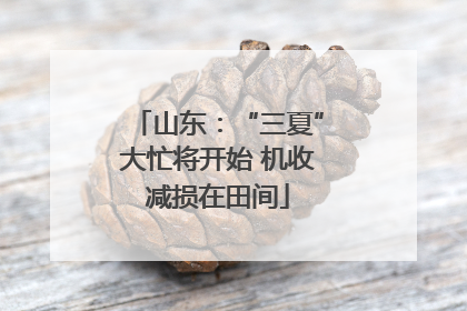 山东：“三夏”大忙将开始 机收减损在田间