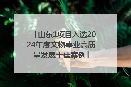 山东1项目入选2024年度文物事业高质量发展十佳案例
