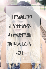 巴勒斯坦驻华使馆举办声援巴勒斯坦人民活动