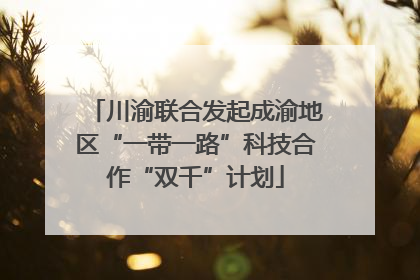 川渝联合发起成渝地区“一带一路”科技合作“双千”计划