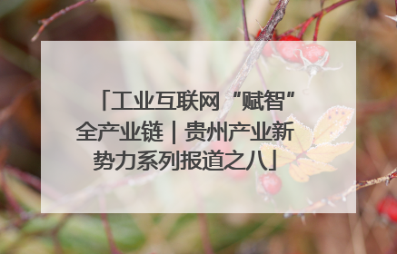 工业互联网“赋智”全产业链｜贵州产业新势力系列报道之八