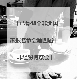 已有48个非洲国家报名参会第四届中非经贸博览会