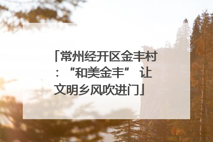 常州经开区金丰村：“和美金丰” 让文明乡风吹进门