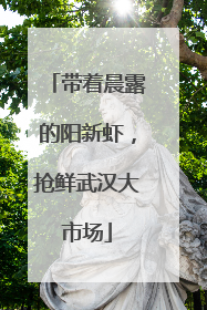 带着晨露的阳新虾，抢鲜武汉大市场