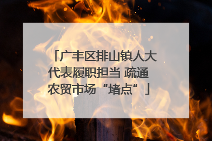 广丰区排山镇人大代表履职担当 疏通农贸市场“堵点”