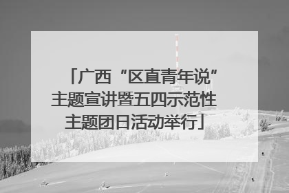 广西“区直青年说”主题宣讲暨五四示范性主题团日活动举行