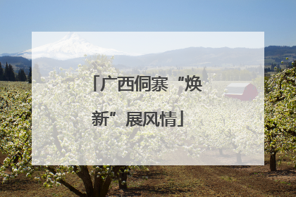 广西侗寨“焕新”展风情