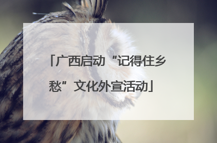 广西启动“记得住乡愁”文化外宣活动