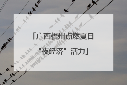 广西梧州点燃夏日“夜经济”活力