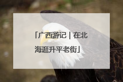 广西游记｜在北海逛升平老街