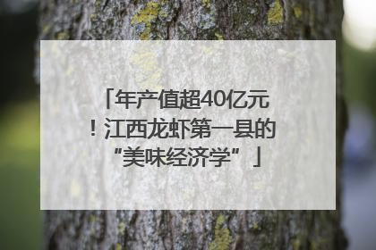 年产值超40亿元！江西龙虾第一县的“美味经济学”
