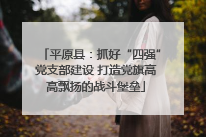 平原县：抓好“四强”党支部建设 打造党旗高高飘扬的战斗堡垒
