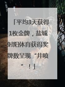 平均3天获得1枚金牌，盐城射阳体育获得奖牌数呈现“井喷”！