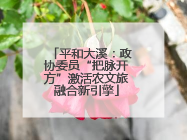 平和大溪：政协委员“把脉开方”激活农文旅融合新引擎
