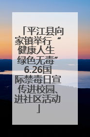 平江县向家镇举行“健康人生 绿色无毒”6.26国际禁毒日宣传进校园、进社区活动