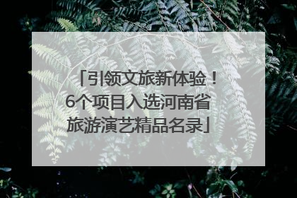 引领文旅新体验！6个项目入选河南省旅游演艺精品名录