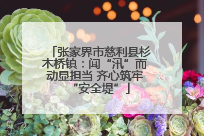 张家界市慈利县杉木桥镇：闻“汛”而动显担当 齐心筑牢“安全堤”