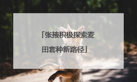 张掖积极探索麦田套种新路径