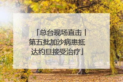 总台现场直击丨第五批加沙病患抵达约旦接受治疗
