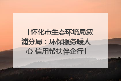 怀化市生态环境局溆浦分局：环保服务暖人心 信用帮扶伴企行