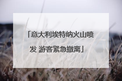 意大利埃特纳火山喷发 游客紧急撤离