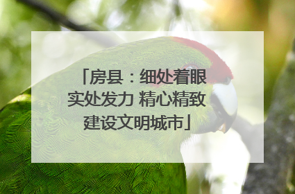 房县：细处着眼 实处发力 精心精致建设文明城市