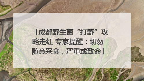 成都野生菌“打野”攻略走红 专家提醒：切勿随意采食，严重或致命