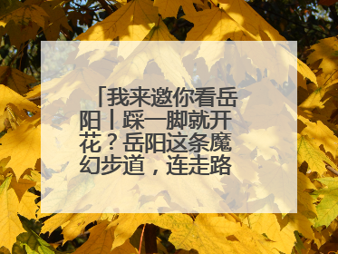 我来邀你看岳阳丨踩一脚就开花？岳阳这条魔幻步道，连走路都变得好玩！