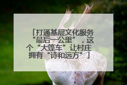 打通基层文化服务“最后一公里”，这个“大篷车”让村庄拥有“诗和远方”