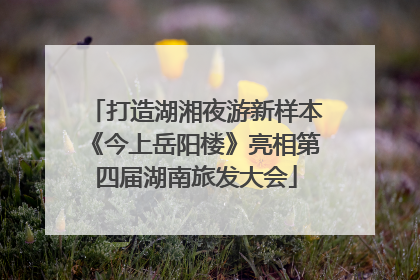 打造湖湘夜游新样本《今上岳阳楼》亮相第四届湖南旅发大会