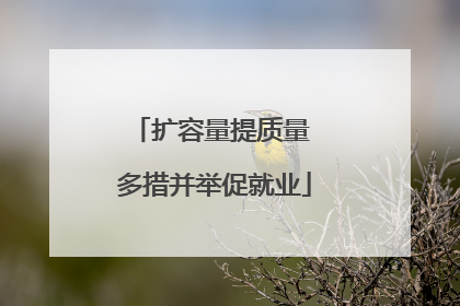 扩容量提质量 多措并举促就业