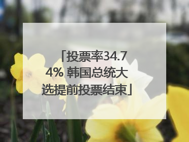 投票率34.74% 韩国总统大选提前投票结束