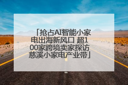 抢占AI智能小家电出海新风口 超100家跨境卖家探访慈溪小家电产业带