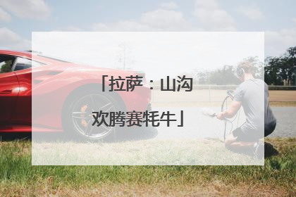 拉萨：山沟欢腾赛牦牛